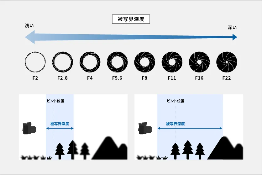 【撮影の基本】ピントが合わない理由や調整方法を解説