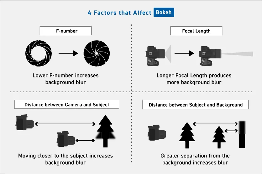 Elements that create bokeh