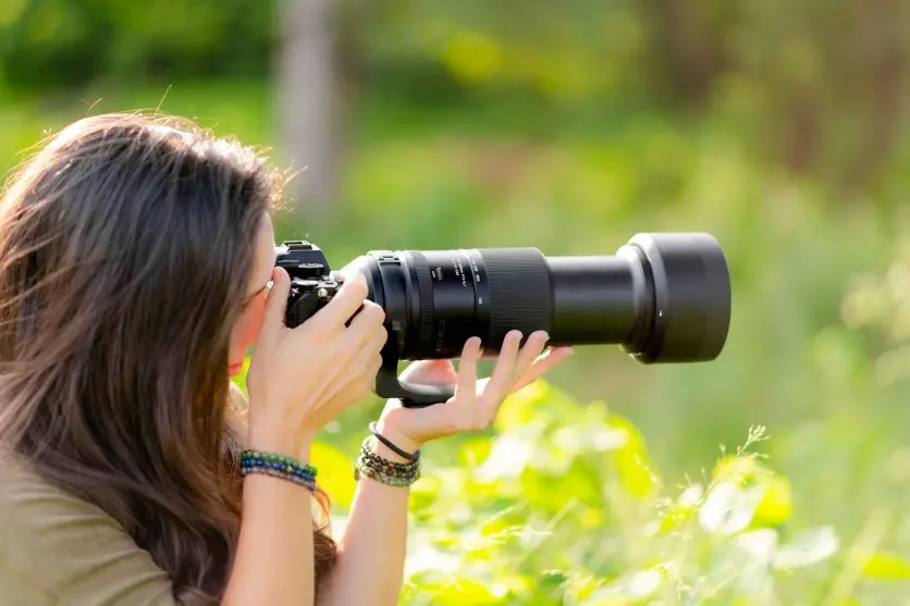 Lenses used in wild bird photography