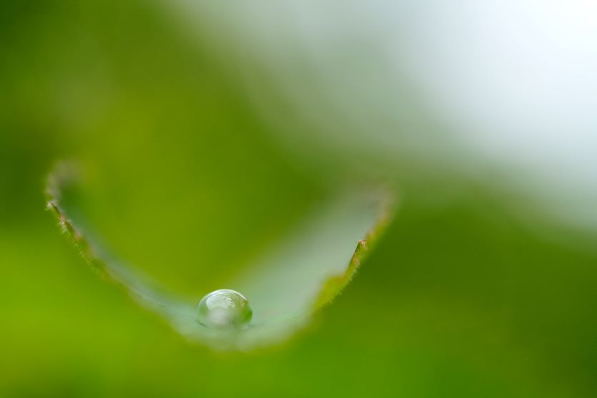 Work of water droplets