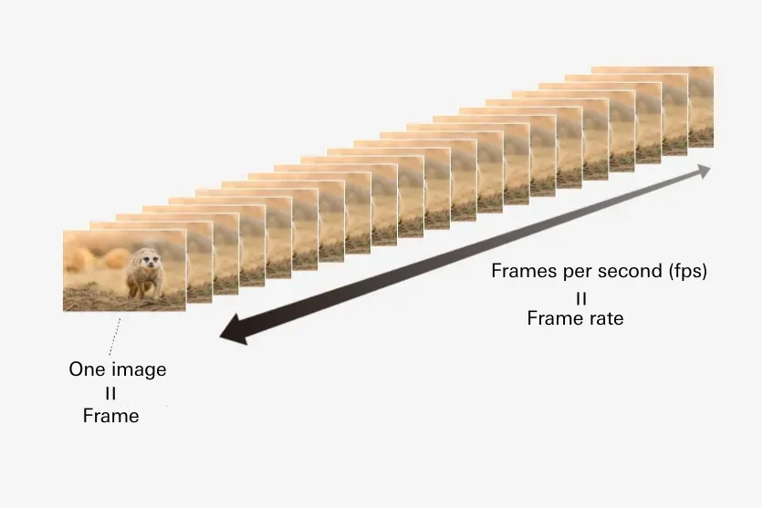 What is frame rate?