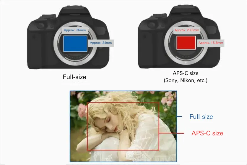 Point 1: What is full-frame sensor and APS-C sensor