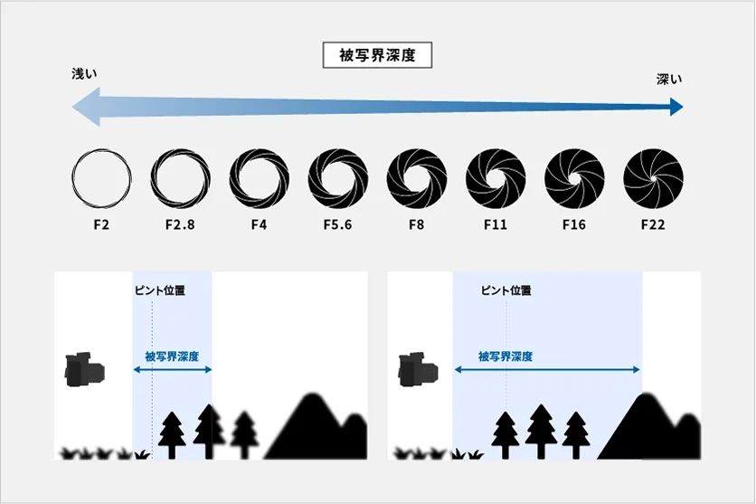 被写界深度とは？その意味や写真表現への活用方法を解説