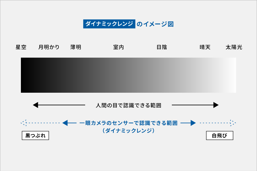 ダイナミックレンジとは？用語の解説と活用例をご紹介