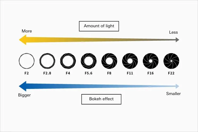 What is F-number (aperture)? A comprehensive explanation including example settings and the relationship between aperture, shutter speed and ISO