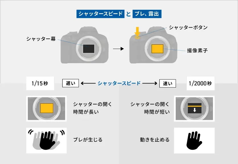 シャッタースピードとは？設定の目安や被写体に合わせたコツをご紹介