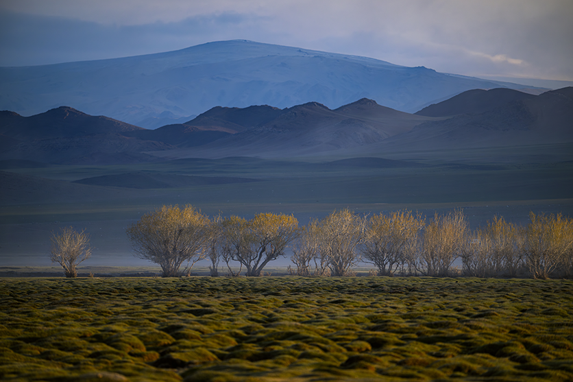 Natural Landscapes