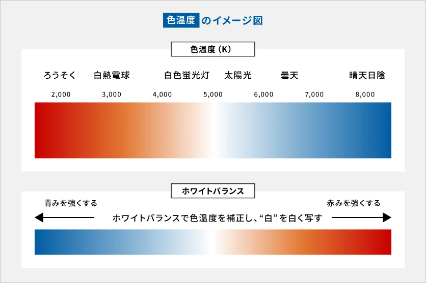 ホワイトバランスとは？基礎知識からクリエイティブな活用例までご紹介