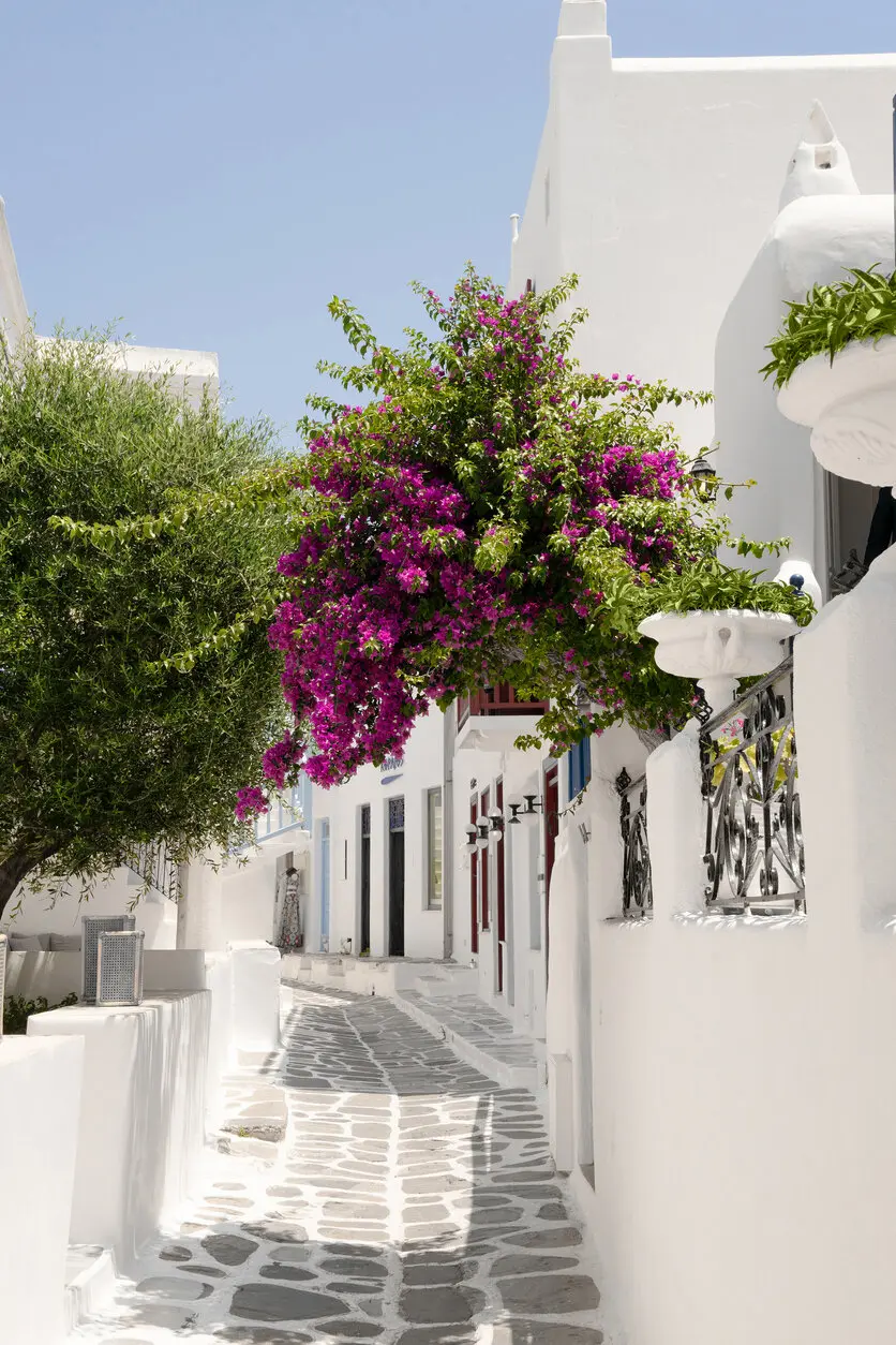 タムロンレンズで撮影された旅行写真 タムロンレンズで撮影された旅行写真