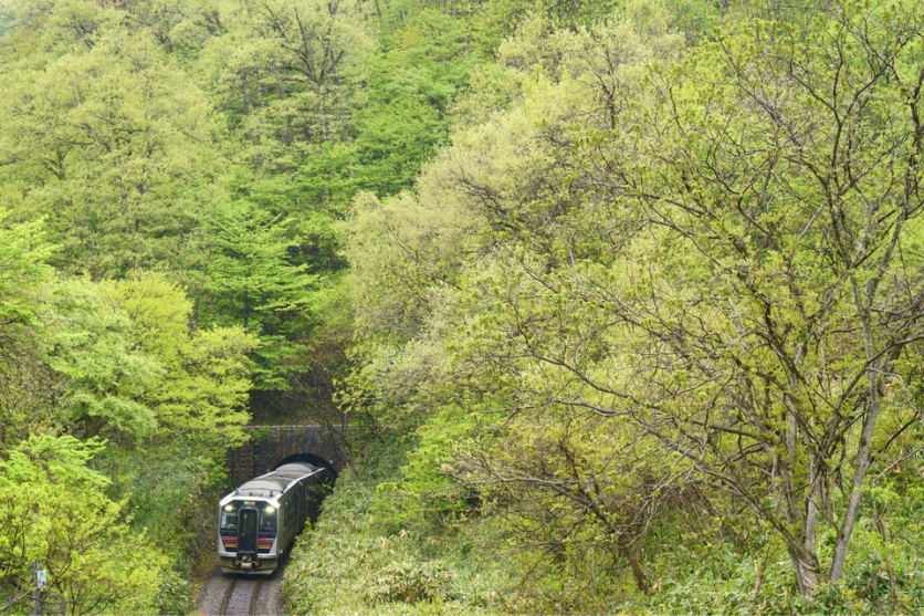 カメラ トップ と 旅 する 鉄道 風景