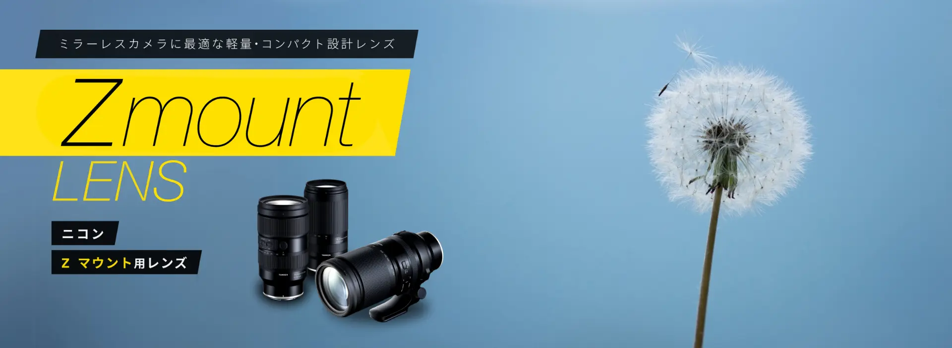 e-mount