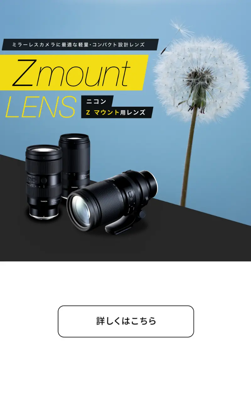 e-mount