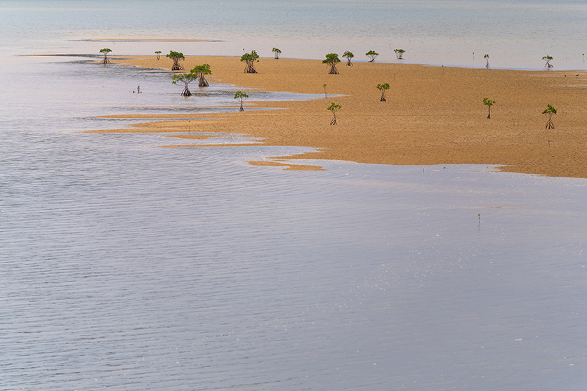 写真家 柏倉 陽介氏がタムロン50-300mm F4.5-6.3 (Model A069)ソニー Eマウント用で写し出す、自然あふれる西表島の魅力