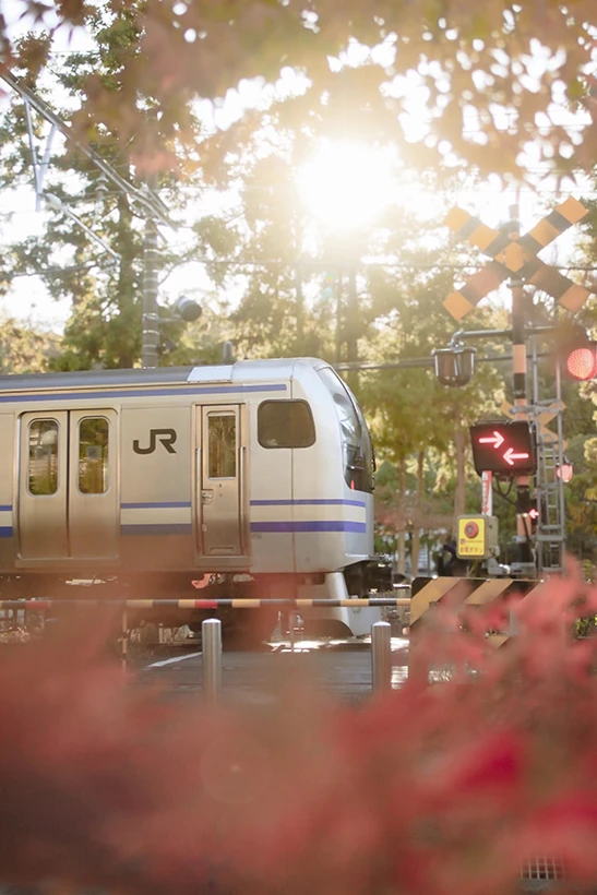 紅葉を駆け抜けて